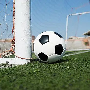 多平台下载支持